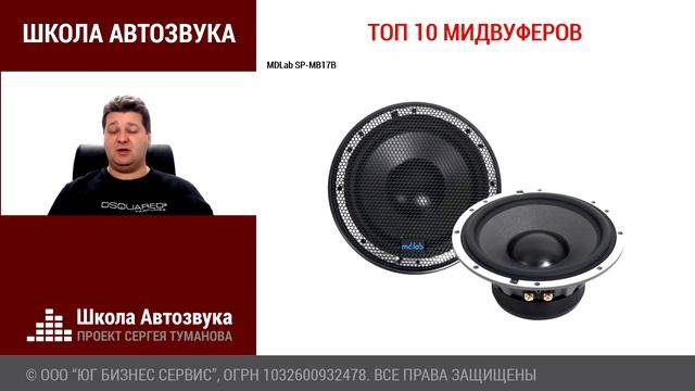 Топ 10 мидбасов (мидвуферов) для SQ до 15000