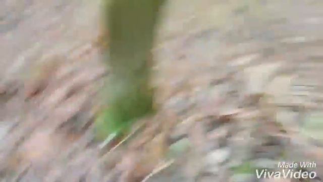 Oud en nieuw, Camilla rent weg op? |HS смотреть онлайн