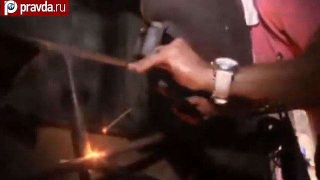 Видео самых смешных приколов про животных смотреть онлайн