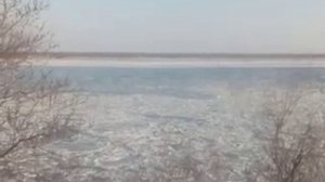 VID 20201111 150855.mp4