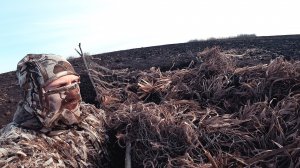 Охота на гуся 2023 Открытие охоты