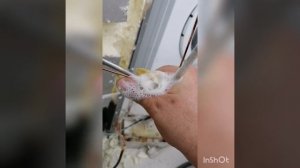 ремонт холодильника беко, замена обратной трубки