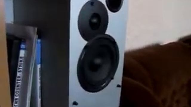 Моя акустика.mp4 смотреть онлайн