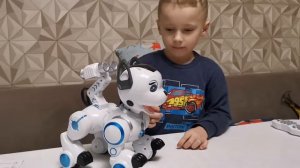 Робот собака "Дениел", распаковка.
