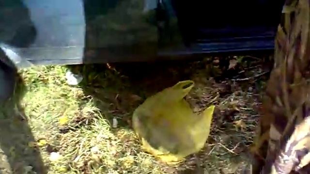 ловля щуки на дону.mp4 смотреть онлайн