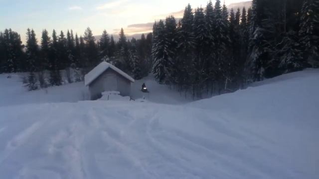 Arctic cat 440 смотреть онлайн