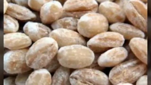 Гастрономический Разгул