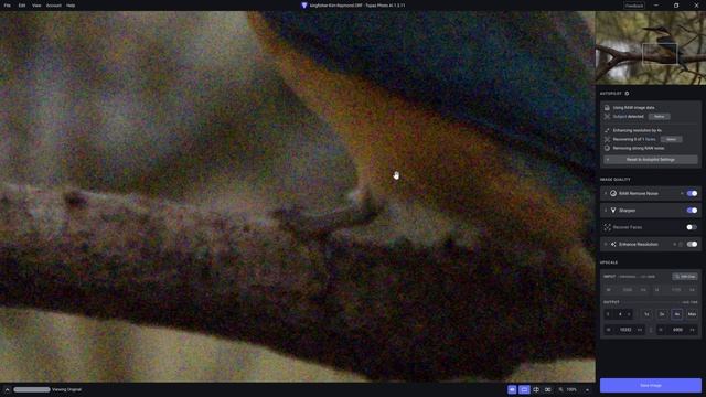 Restore Low Quality Photos with Photo AI and Luminar Neo смотреть онлайн