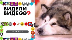 Видели видео? Выпуск от 14.01.2024