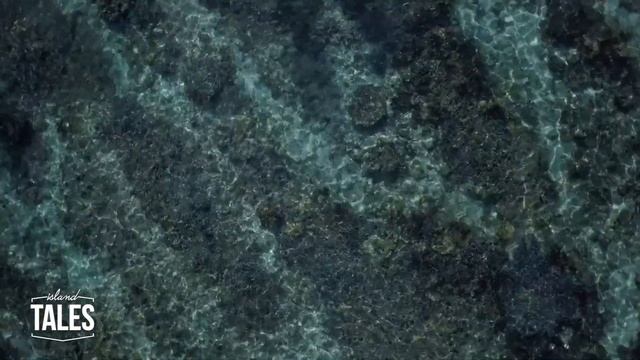 WHICH are the BEST BEACHES in MAURITIUS? | An ultimate list 2021 смотреть онлайн