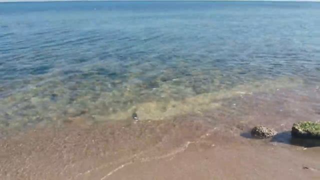 Как выйти на рынок и начать торговать своими цветами. смотреть онлайн