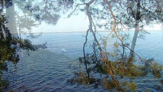 Озеро Нарочь Музыка весны смотреть онлайн