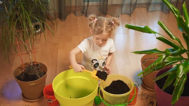 ?ТАНЯ ПЕРЕСАЖИВАЕТ КОМНАТНЫЕ ЦВЕТЫ! ? ДРАЦЕНЫ РАЗМЕРОМ с ТАНЮ! ? смотреть онлайн