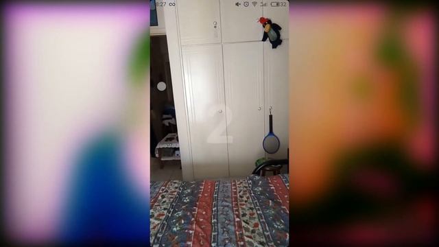 Монтаж в ТикТок | Как делать переход из брошенной одежды в одетого человека смотреть онлайн