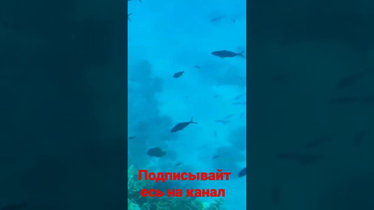 смотрим рыбак! смотреть онлайн