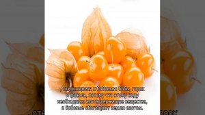 Что можно сажать после помидоров