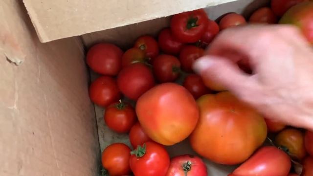 #265 ЖИЗНЬ В ДЕРЕВНЕ. Пополняем запасы на зиму. Новые жильцы в курятнике смотреть онлайн