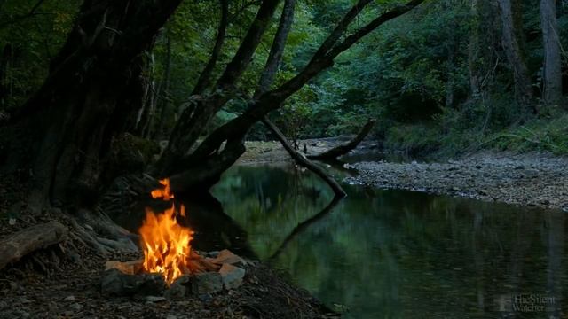 Когда высаживать перец в теплицу? смотреть онлайн