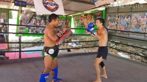 Удары коленями на практике, смогут ли боевые ботаники противостоять этим ударам.