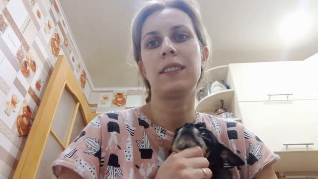 VLOG ОПЯТЬ ДИСТАНЦИОНКА???! Коротаем вечер. смотреть онлайн