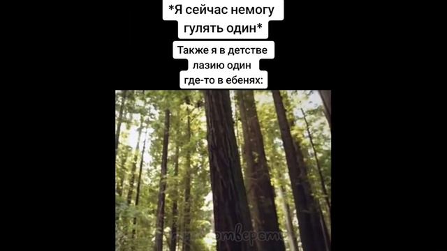 тикток без телефона | подборка мемов смотреть онлайн