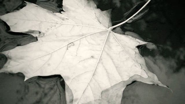 Классика (осенняя музыка) смотреть онлайн