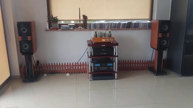 Line Magnetic LM518ia, JmLab Mini Utopia, Mcintosh Mcd 350, Siltech FTM 4 SG3