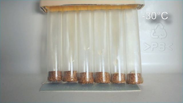 Olej 5W40 C3 Test Zimna -30°C Mitasu 5W40, Petronas 5W40, Ravenol 5W40, Neste Oil 5W40, Valvoline