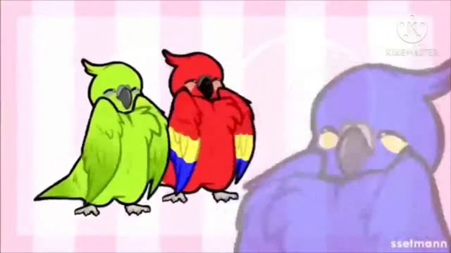 ?Пение, чириканье, полчаса! Отличная компания для ваших попугаев. попугаи поют♥️ смотреть онлайн