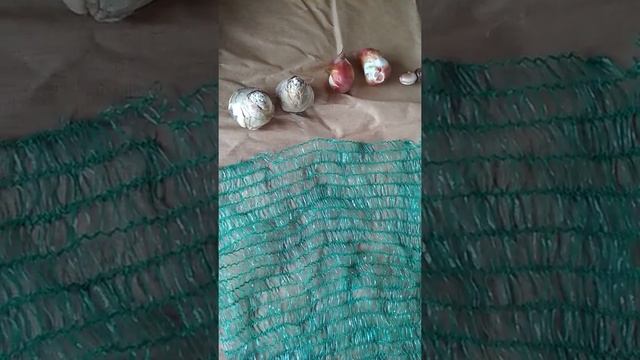 корзины для луковичных смотреть онлайн