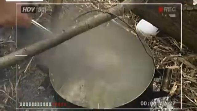 РИЗОТТО С МОРЕПРОДУКТАМИ. © Costa Rica. Cuisine. Risotto with seafood. смотреть онлайн