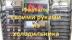 Автоматический инкубатор своими руками из холодильника