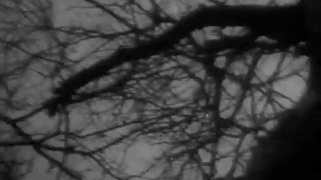 The Fall of the House of Usher (extract) new score by IN THE NURSERY смотреть онлайн