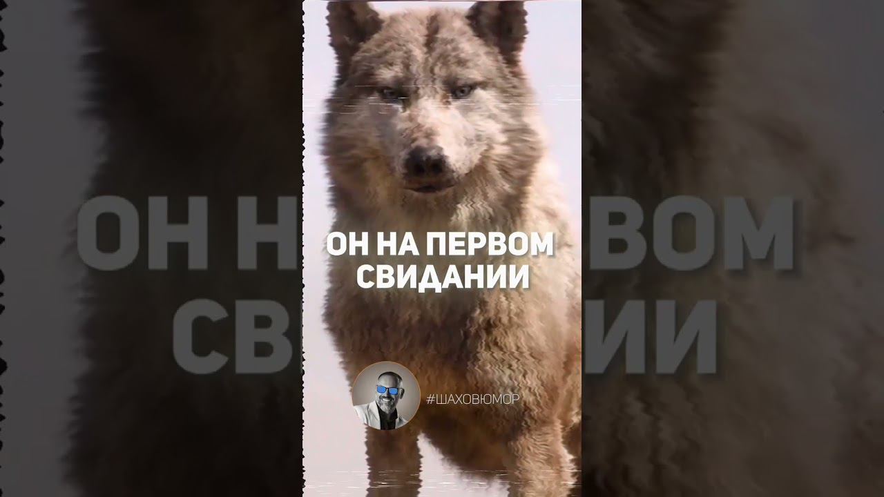 На первом свидании и в жизни #ихвильнихт #психология #свидание смотреть онлайн