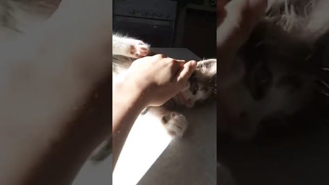 Что там случилось? смотреть онлайн