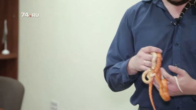 Все о содержании змей смотреть онлайн