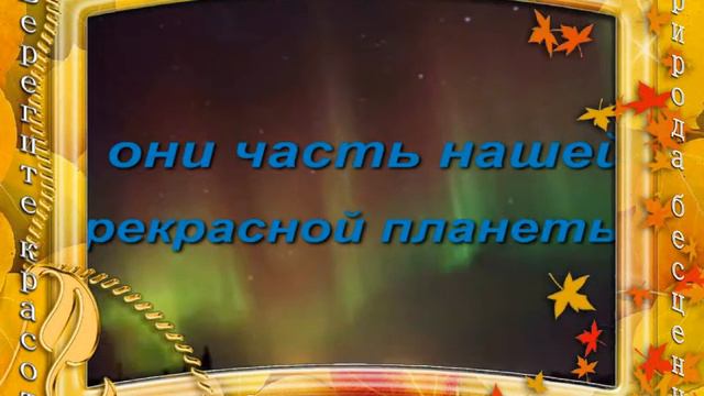 Видео открытка Животные смотреть онлайн