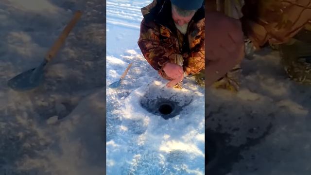 Рыбалка Ханты-мансийск 2018 смотреть онлайн