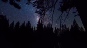 J.S. Bach /Matthäus Passion/. И.С. Бах - Страсти по Матфею, №47 Arie /Alt/.