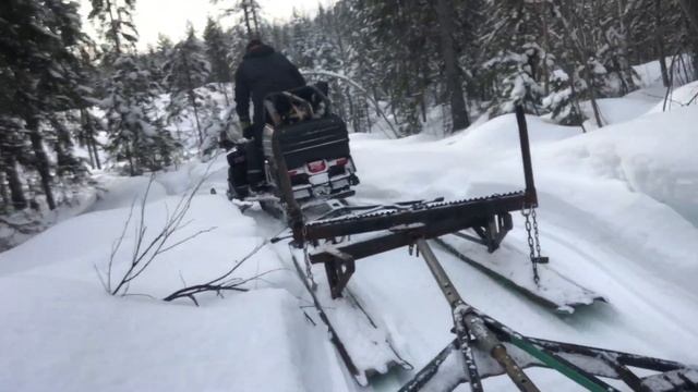 Riding Yamaha Viking Snowmobile on Fresh Arctic Logging Trails: Compacting for Heavy Loads смотреть онлайн