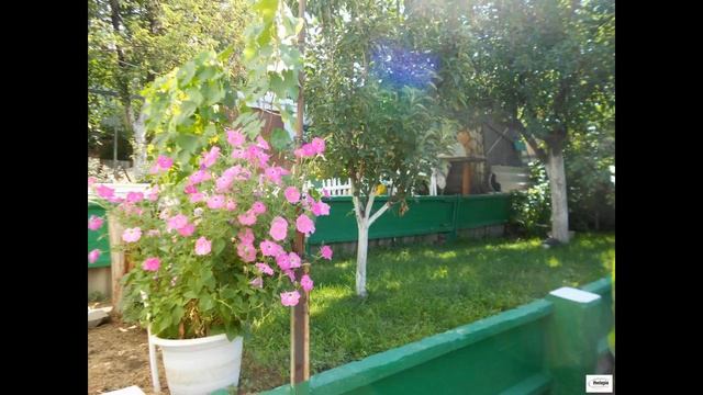 Приятная дача в мкр Сосенки ждет своего Покупа... смотреть онлайн