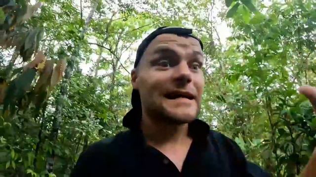 🇨🇷 Seele baumeln lassen im costa-ricanischen Paradies! смотреть онлайн