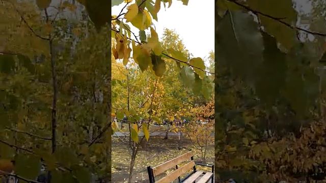 Пушкин.А.С....унылая пора, очей очерованье... смотреть онлайн