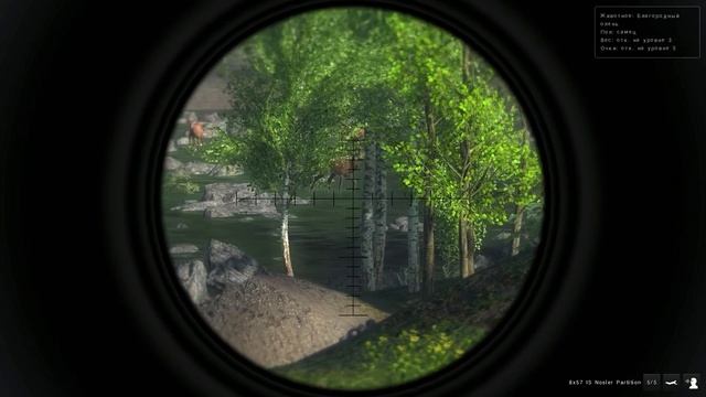 the Hunter - Благородный олень [Основы охоты] #15 смотреть онлайн