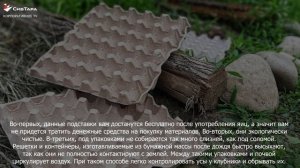 Из яичных лотков подставки под клубнику