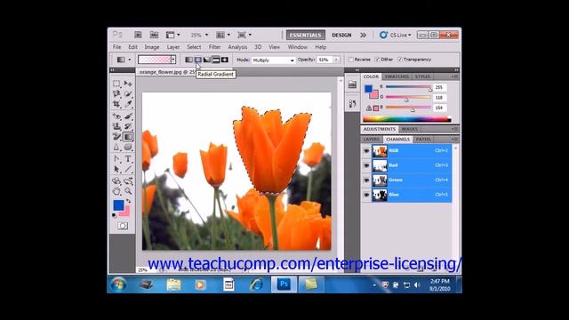 Photoshop CS6 Tutorial Using the Gradient Tool Adobe Training смотреть онлайн