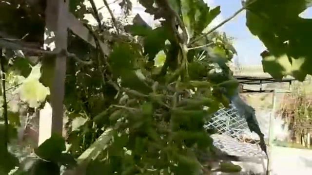 Зона отдыха Данги смотреть онлайн