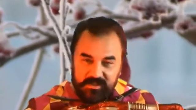 В.Усольцев - "Гроздь рябины красной". смотреть онлайн