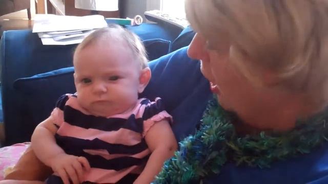 Dutch Itsy Bitsy Spider - "Little Hans the Spider" смотреть онлайн