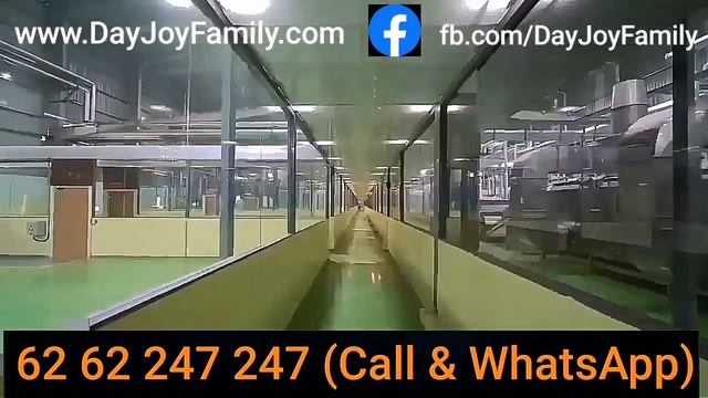 DayJoy Family Company Profile Contact 62 62 247 247 смотреть онлайн